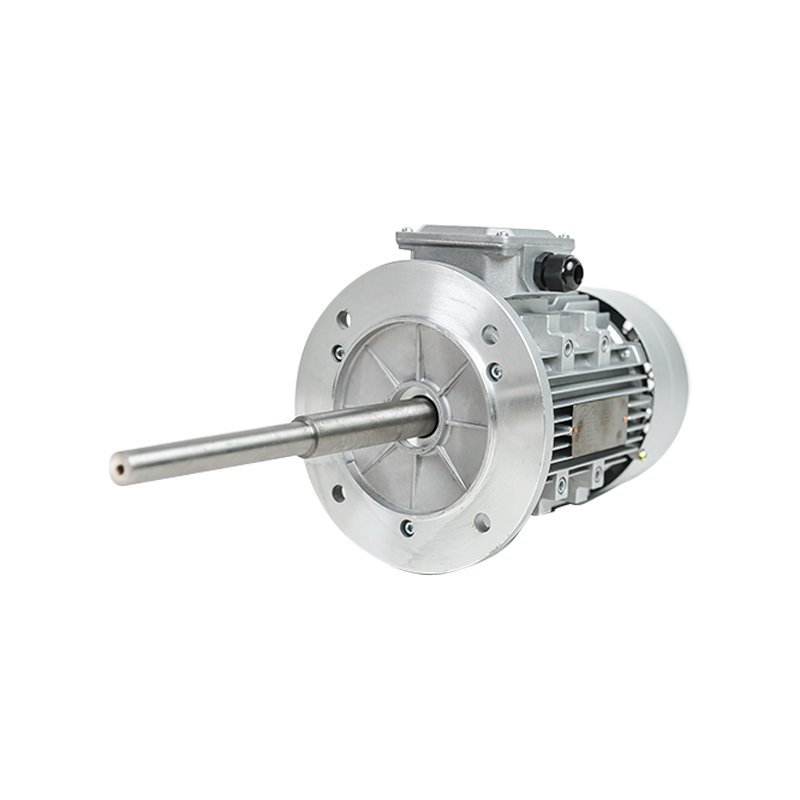Extended shaft motor
