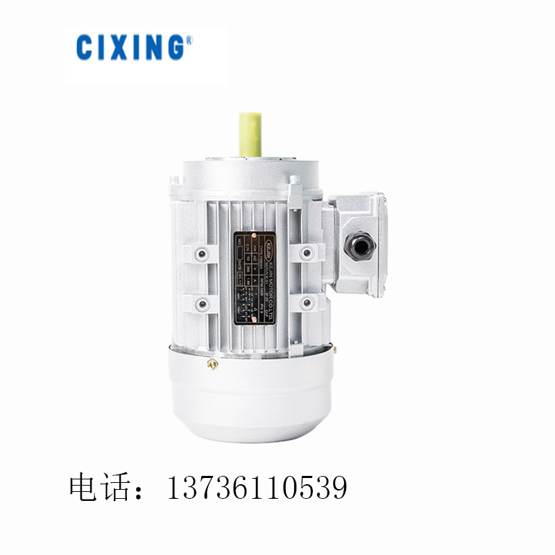 4级铝壳电机-立式-B14.jpg