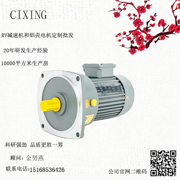 齿轮减速电机 齿轮减速电机